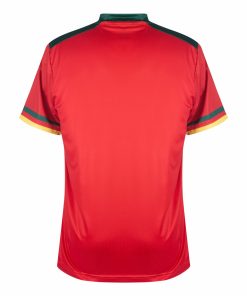 One All Sports Cameroon 2022/23 Men's Third Shirt