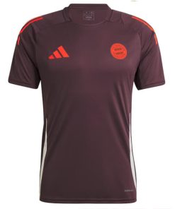 Adidas Bayern Munich 2024/25 Men's Teamline Training Shirt