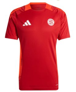 Adidas Bayern Munich 2024/25 Men's Teamline Coach Training Shirt